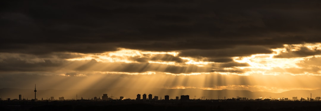 Photo Cleaning companies in Mannheim