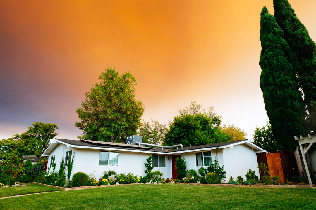 Photo Real estate agents in Mannheim